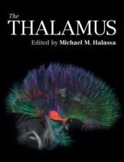 Cover: 9781108481564 | The Thalamus | Michael M Halassa | Buch | Gebunden | Englisch | 2022