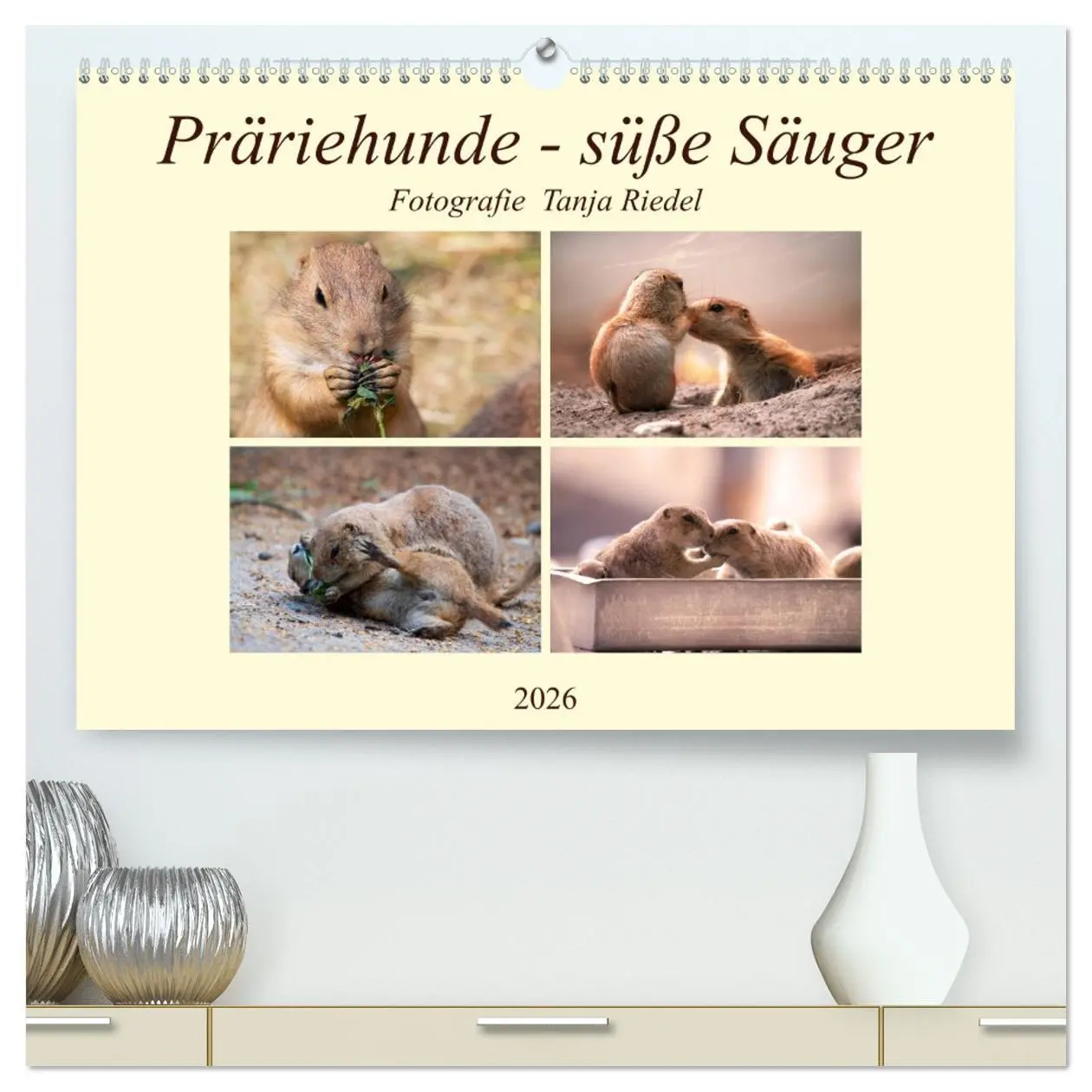Cover: 9783457691564 | Präriehunde - süße Säuger (hochwertiger Premium Wandkalender 2026...