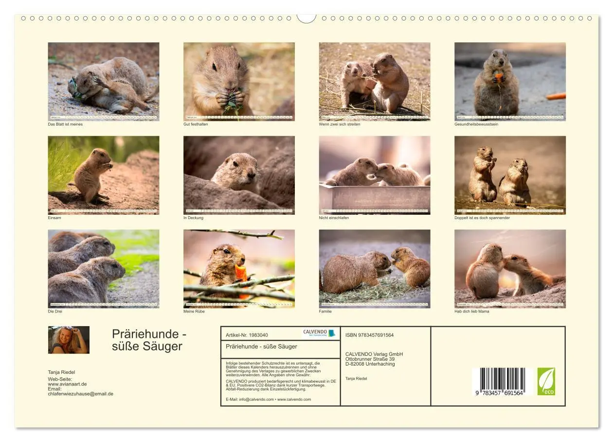 Bild: 9783457691564 | Präriehunde - süße Säuger (hochwertiger Premium Wandkalender 2026...