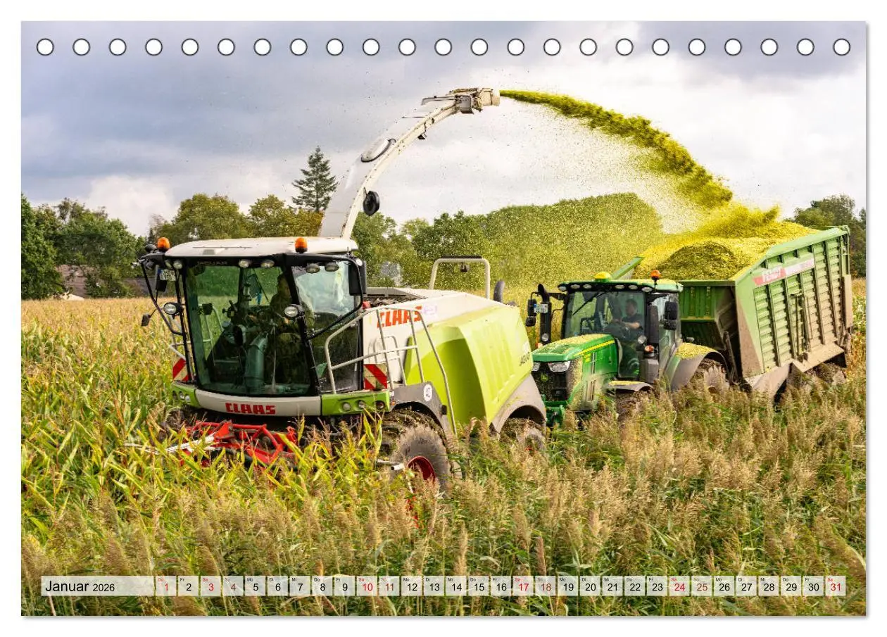 Bild: 9783457761564 | Maisernte am Deich (Tischkalender 2026 DIN A5 quer), CALVENDO...