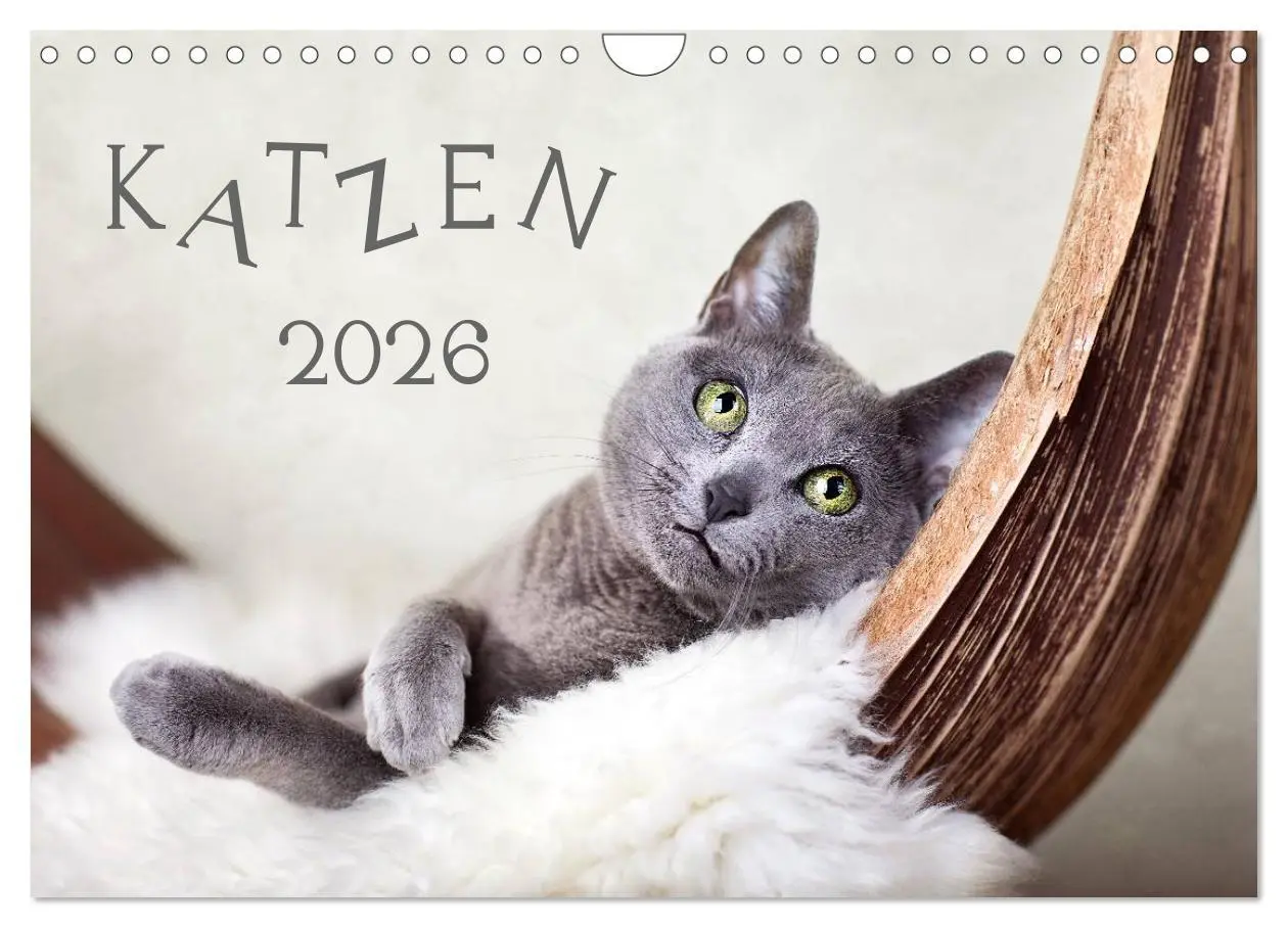 Cover: 9783516231564 | Katzen 2026 (Wandkalender 2026 DIN A4 quer), CALVENDO Monatskalender