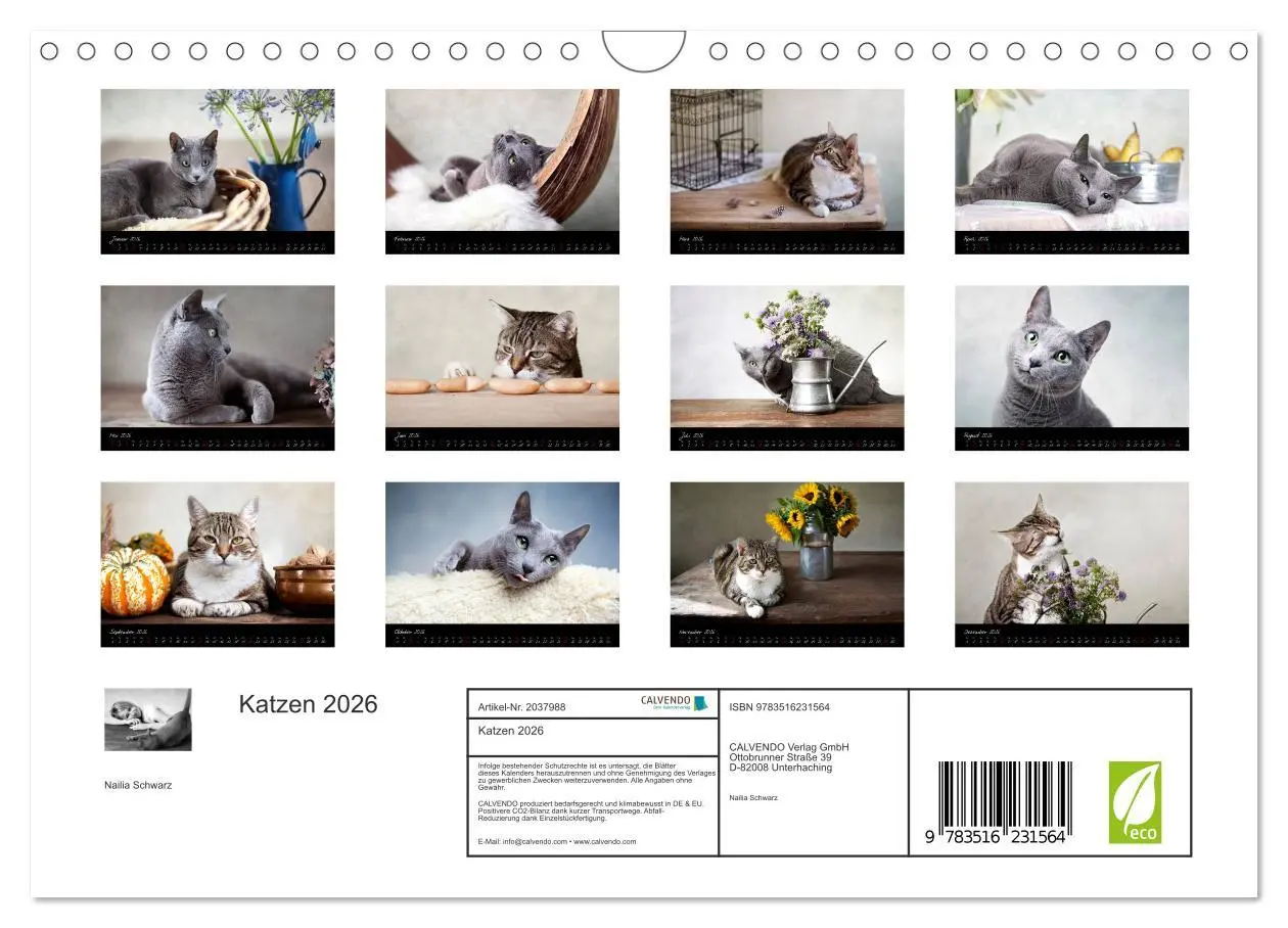 Bild: 9783516231564 | Katzen 2026 (Wandkalender 2026 DIN A4 quer), CALVENDO Monatskalender