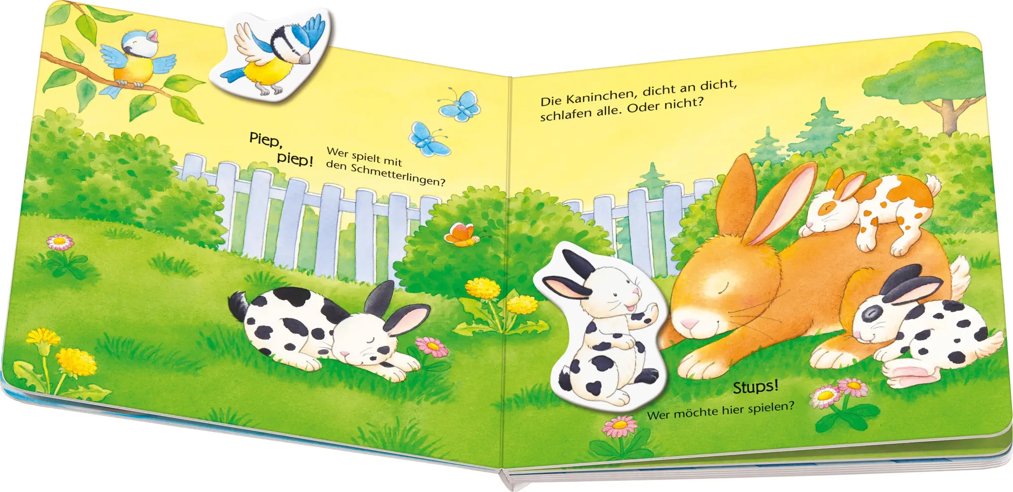 Bild: 9783473421664 | Mein erstes Magnetbuch - Wer gehört zu wem? Tierkinder | Sandra Grimm