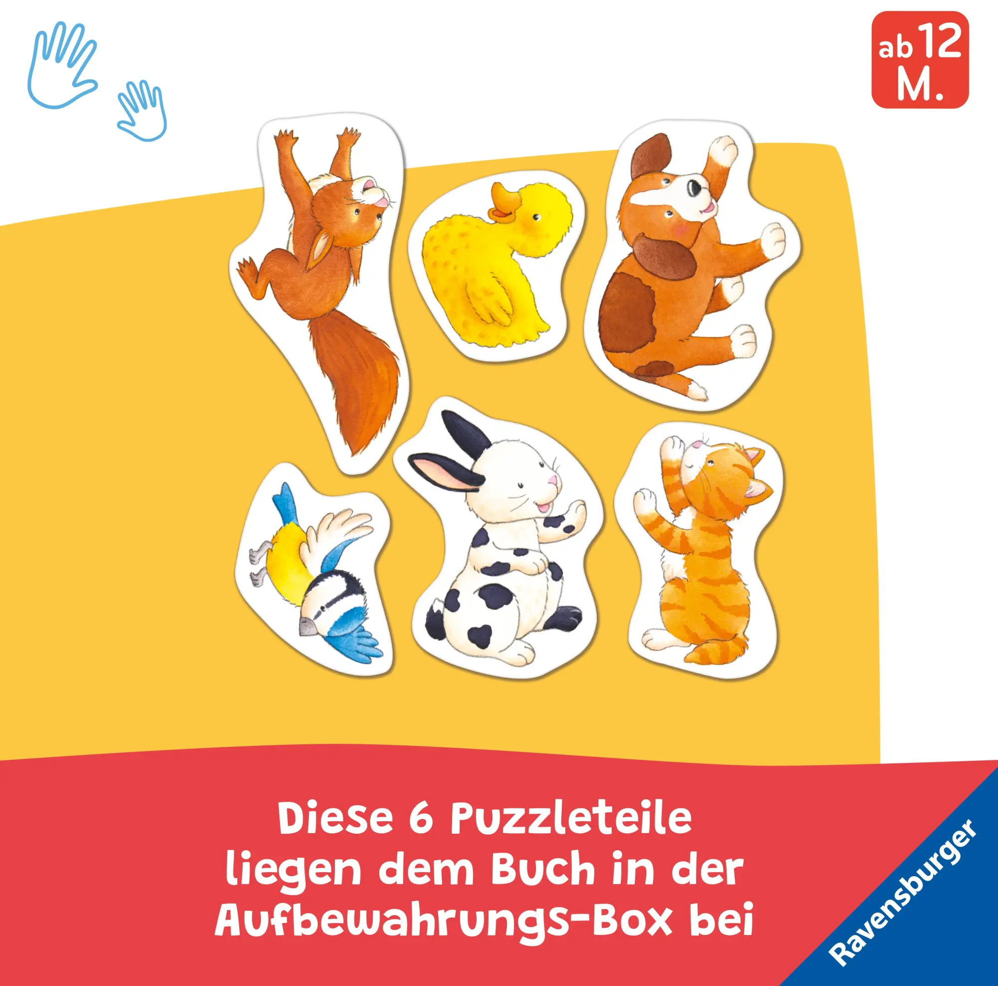 Bild: 9783473421664 | Mein erstes Magnetbuch - Wer gehört zu wem? Tierkinder | Sandra Grimm