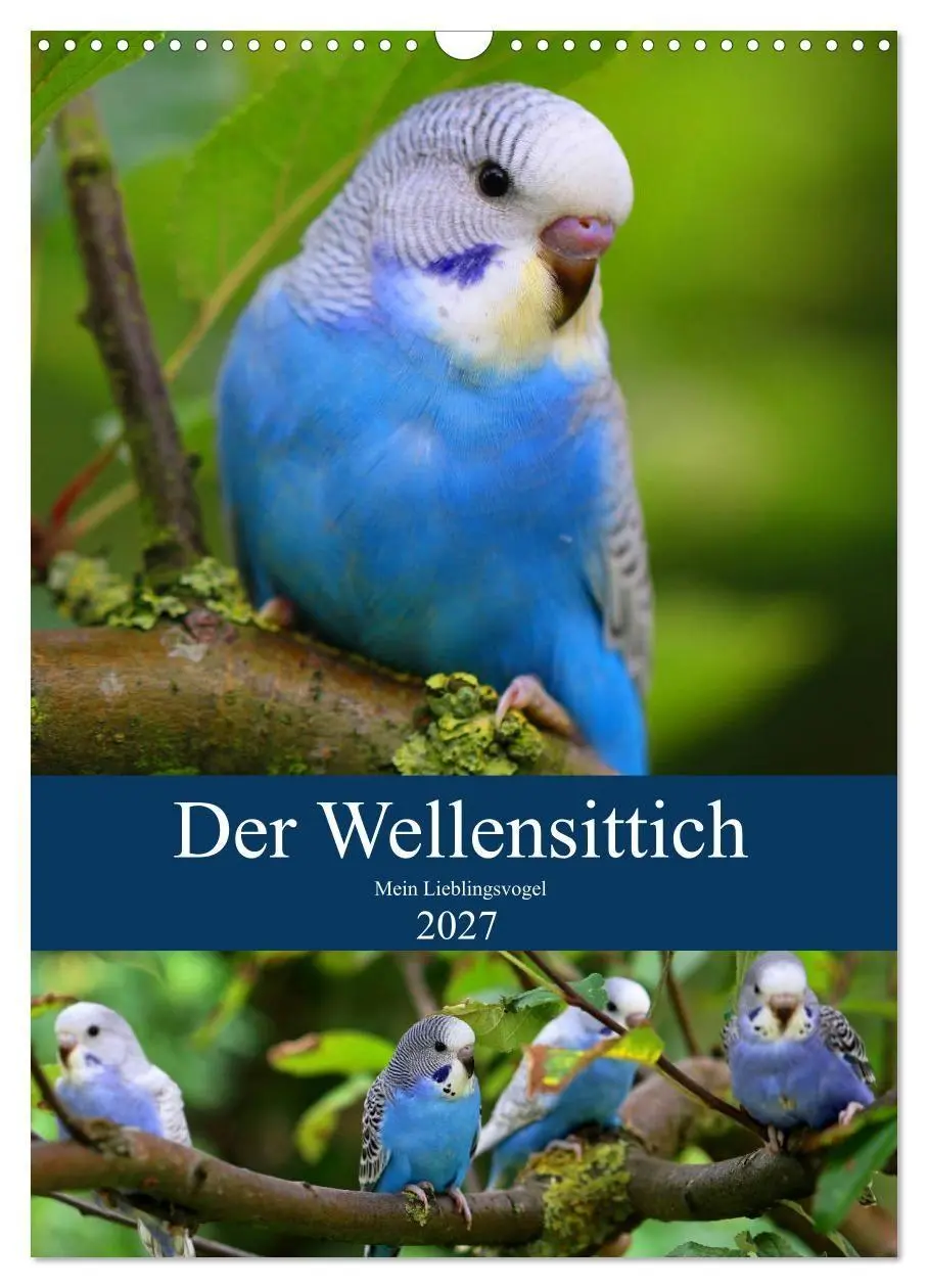 Cover: 9783569541764 | Der Wellensittich - Mein Lieblingsvogel (Wandkalender 2027 DIN A3...