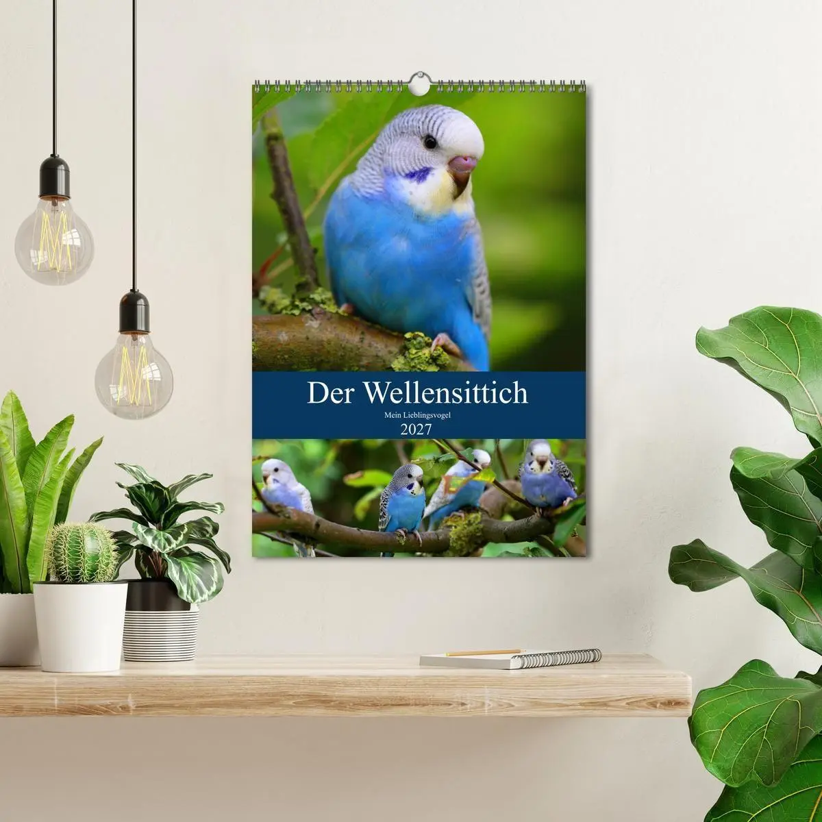 Bild: 9783569541764 | Der Wellensittich - Mein Lieblingsvogel (Wandkalender 2027 DIN A3...