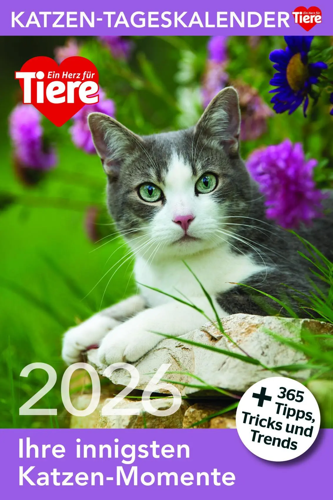 Cover: 9783865171764 | Katzen Tageskalender 2026 | Kalender | 365 S. | Deutsch | 2026