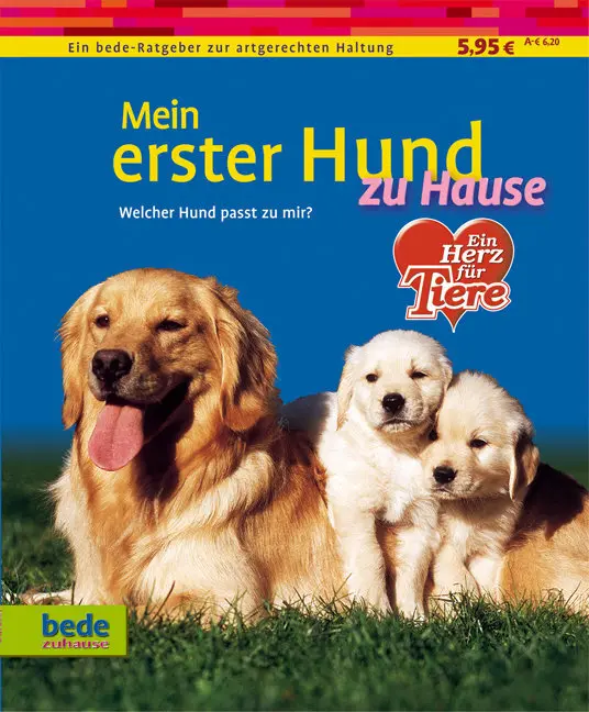 Cover: 9783898601764 | Mein erster Hund zu Hause | Welcher Hund passt zu mir? | Kieselbach