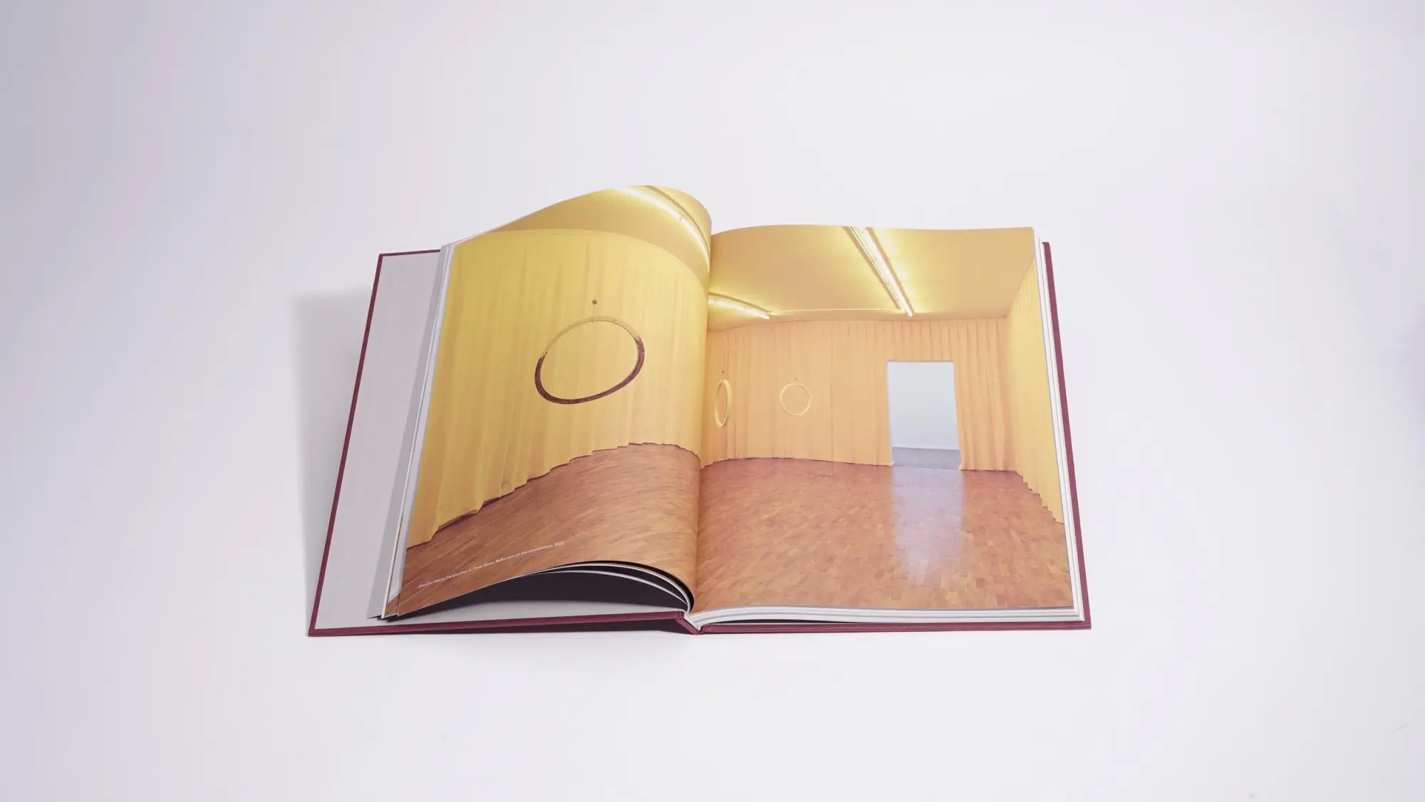 Bild: 9783969121764 | Odor. Immaterielle Skulpturen | Antonie Bierling (u. a.) | Buch | 2024