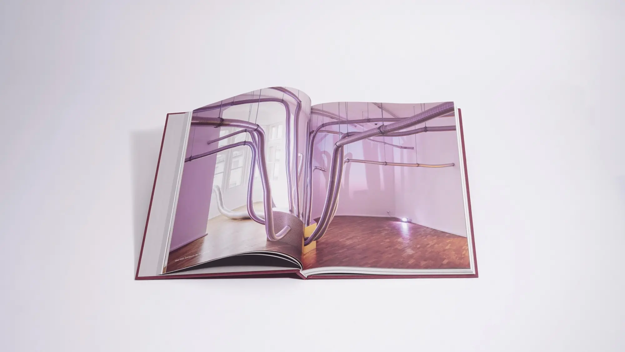 Bild: 9783969121764 | Odor. Immaterielle Skulpturen | Antonie Bierling (u. a.) | Buch | 2024