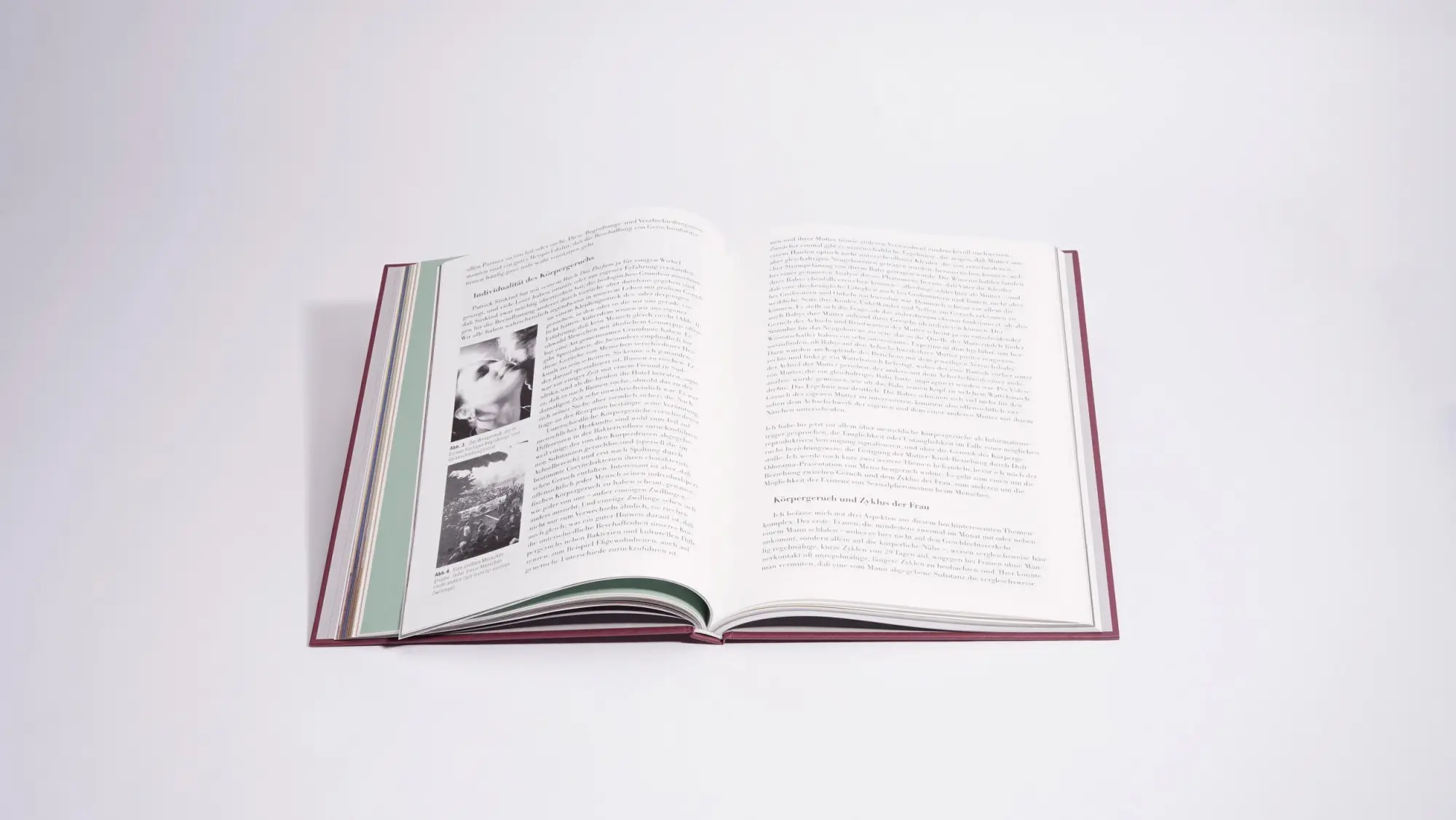 Bild: 9783969121764 | Odor. Immaterielle Skulpturen | Antonie Bierling (u. a.) | Buch | 2024