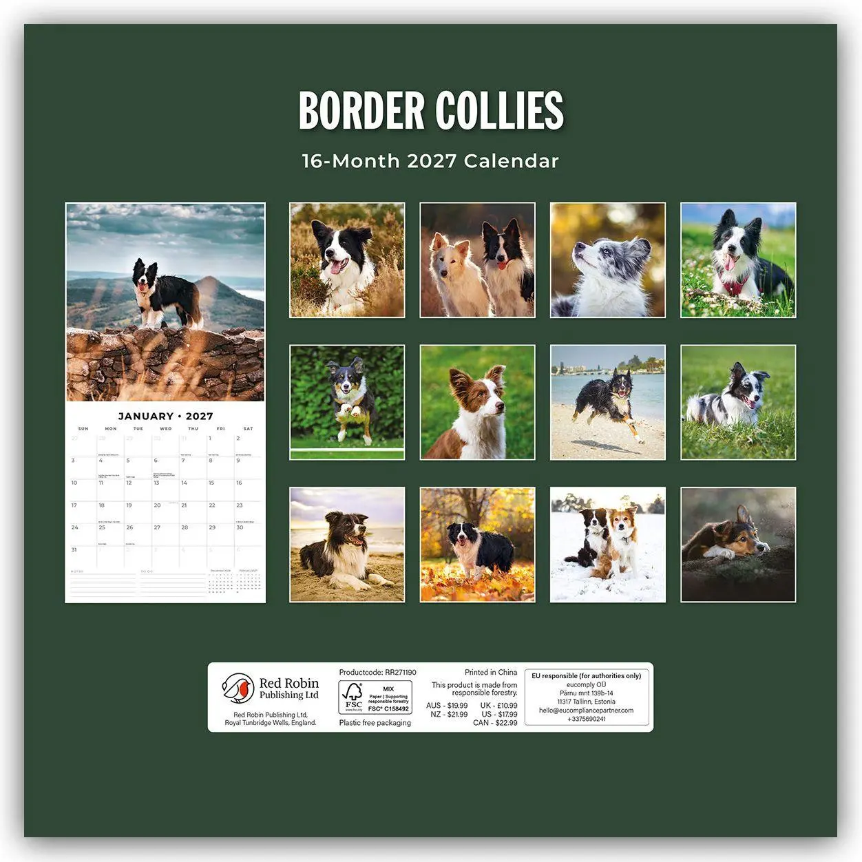 Rückseite: 9781837011964 | Border Collies - Border Collie 2027 - 16-Monatskalender | Robin Red
