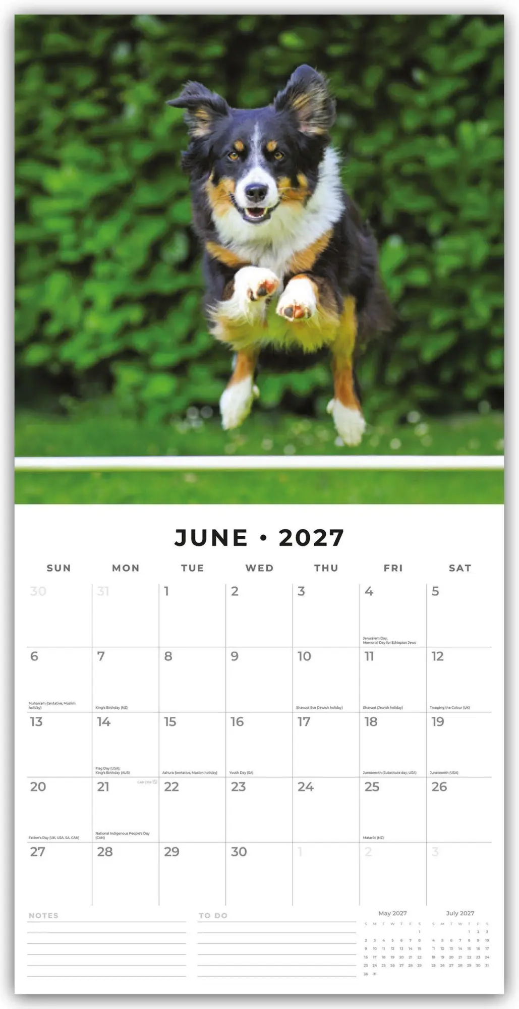 Bild: 9781837011964 | Border Collies - Border Collie 2027 - 16-Monatskalender | Robin Red