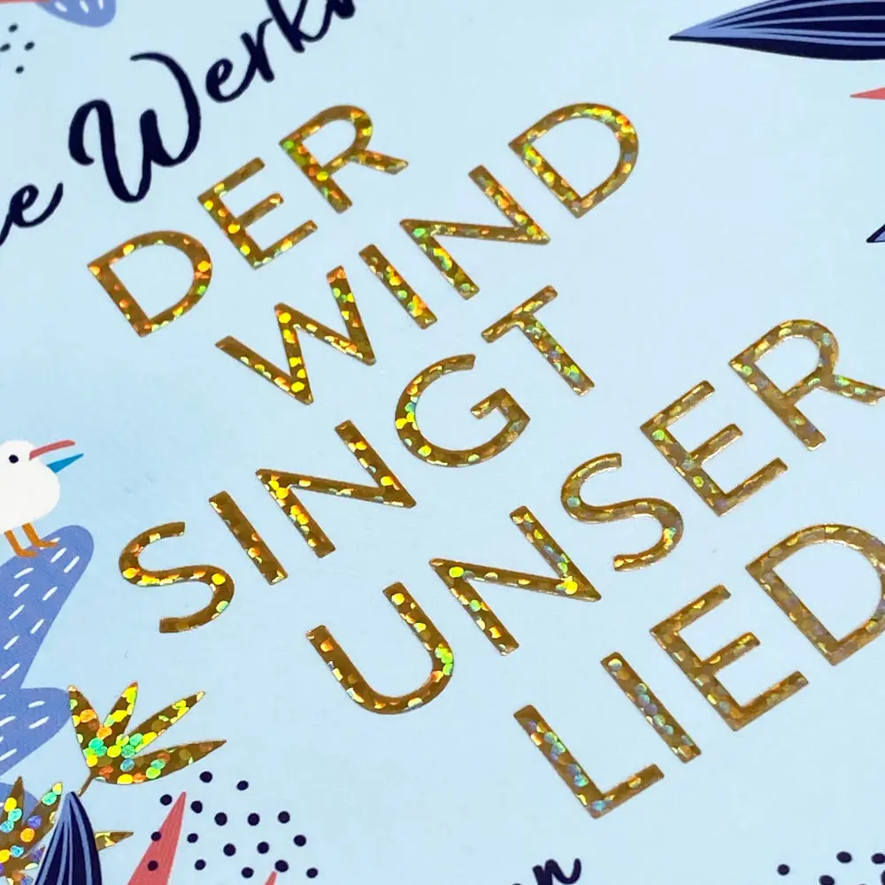Bild: 9783442491964 | Der Wind singt unser Lied | Roman | Meike Werkmeister | Taschenbuch