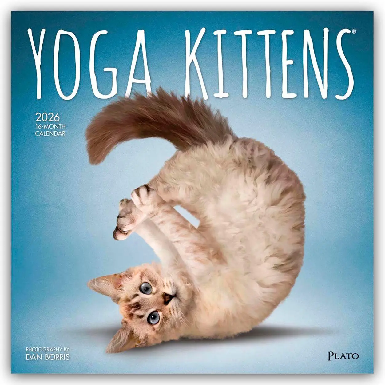 Cover: 9798330701964 | Yoga Kittens - Kätzchen Yoga 2026 - 16-Monatskalender | Publishers