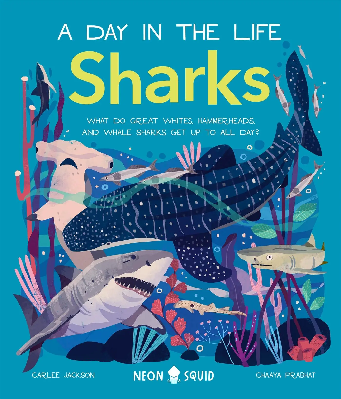 Cover: 9781838992064 | Sharks (A Day in the Life) | Carlee Jackson (u. a.) | Buch | Gebunden