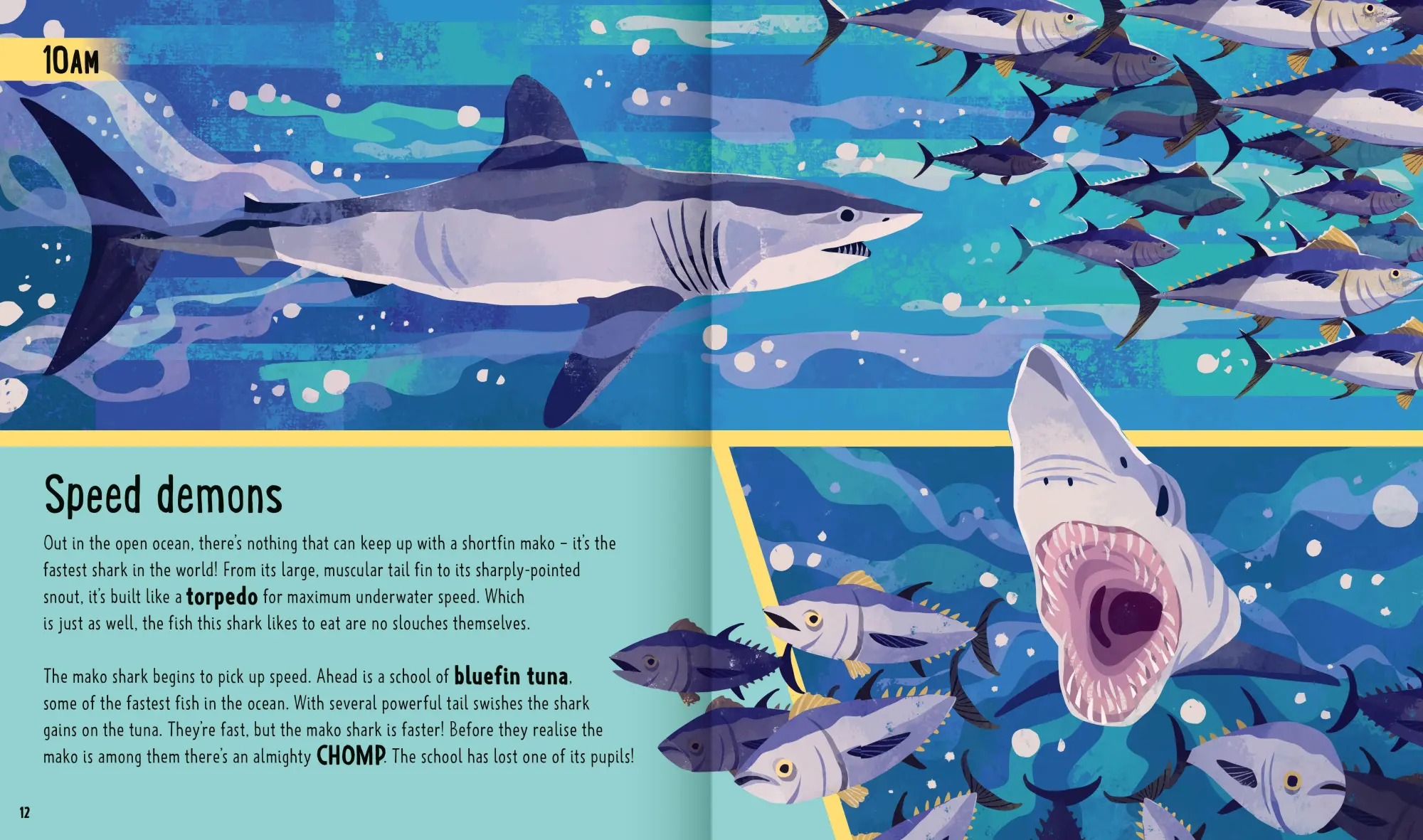 Bild: 9781838992064 | Sharks (A Day in the Life) | Carlee Jackson (u. a.) | Buch | Gebunden