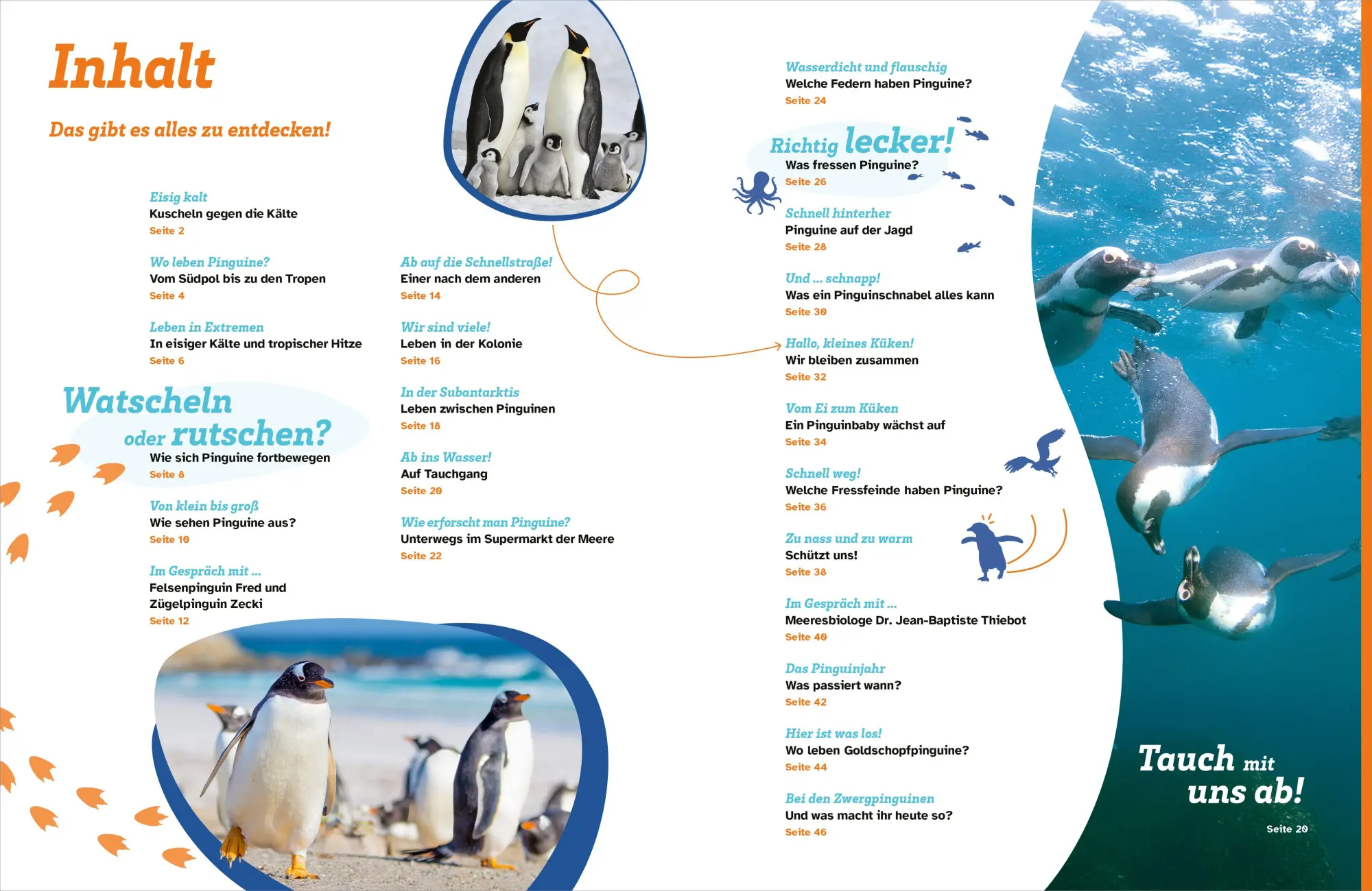 Bild: 9783788682064 | WAS IST WAS Pinguine. Immer cool drauf | Annette Scheffer | Buch