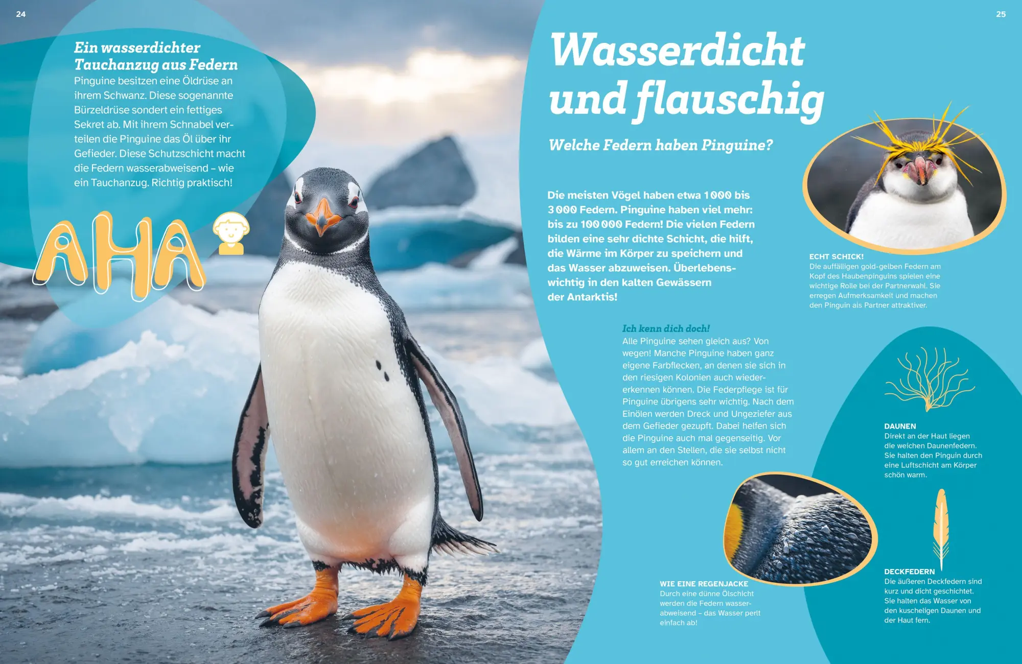 Bild: 9783788682064 | WAS IST WAS Pinguine. Immer cool drauf | Annette Scheffer | Buch