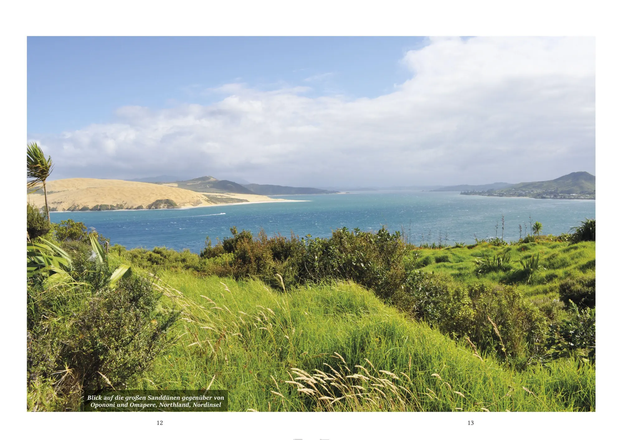 Bild: 9783981322064 | Neuseeland - Land der Maori | Claudia Edelmann | Buch | Deutsch | 2020
