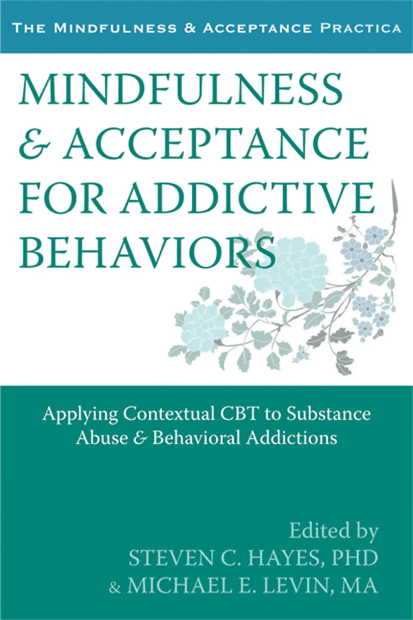 Cover: 9781608822164 | Mindfulness &amp; Acceptance for Addictive Behaviors | Hayes (u. a.)