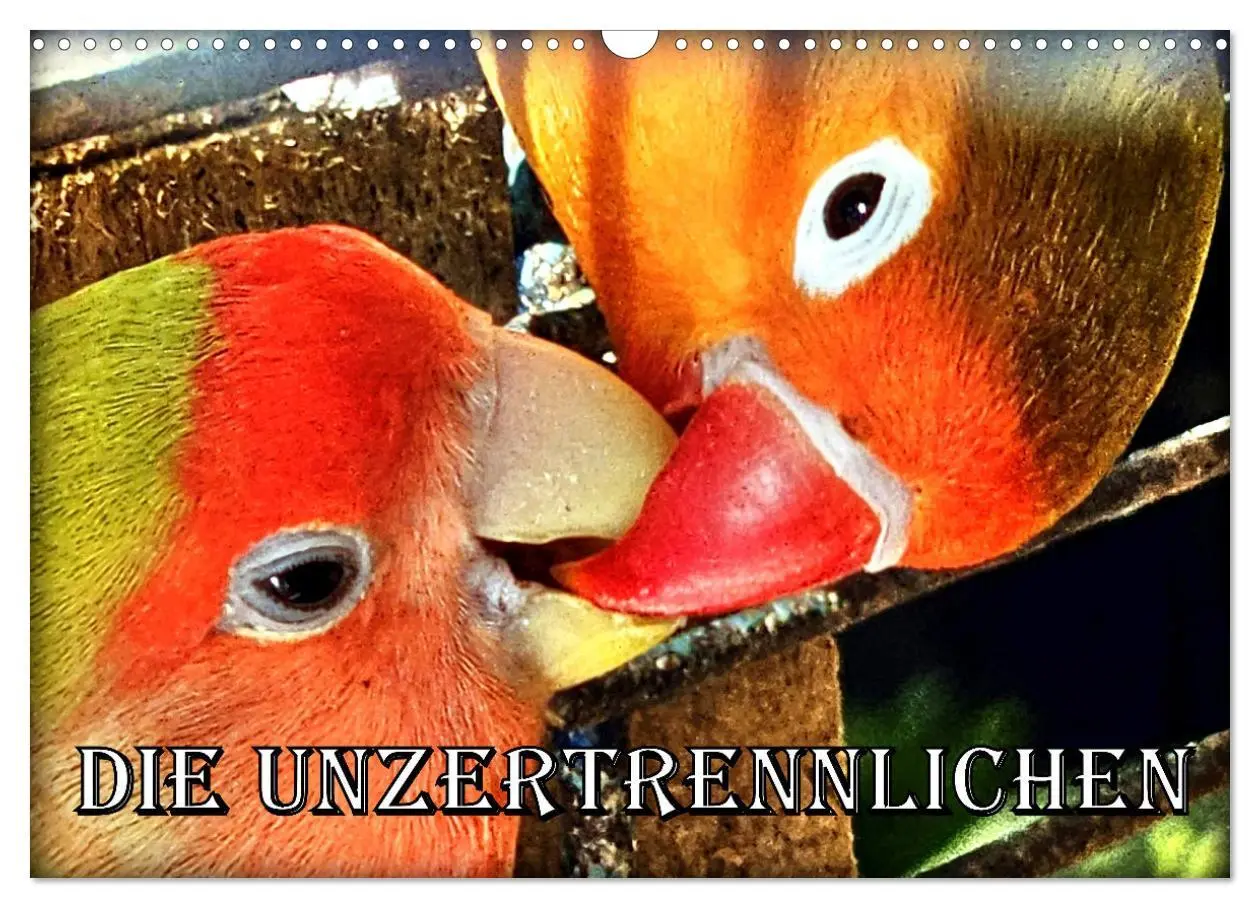 Cover: 9783457392164 | Die Unzertrennlichen (Wandkalender 2026 DIN A3 quer), CALVENDO...