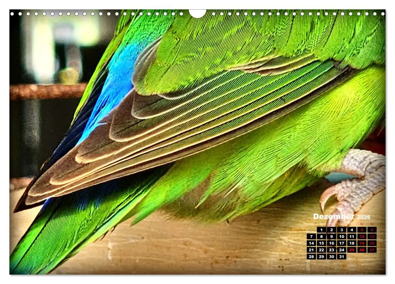 Bild: 9783457392164 | Die Unzertrennlichen (Wandkalender 2026 DIN A3 quer), CALVENDO...
