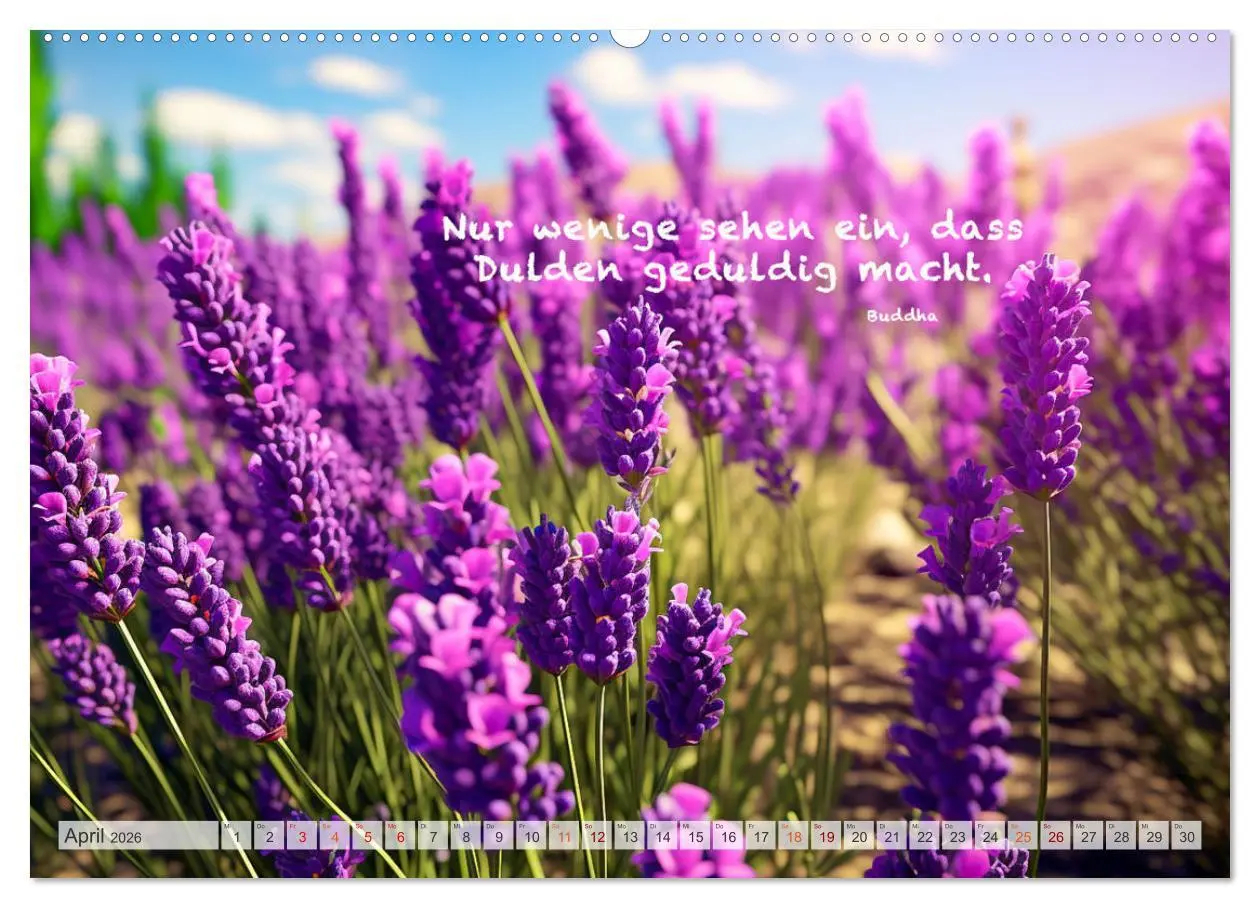 Bild: 9783457532164 | Meditation und innerer Frieden (Wandkalender 2026 DIN A2 quer),...