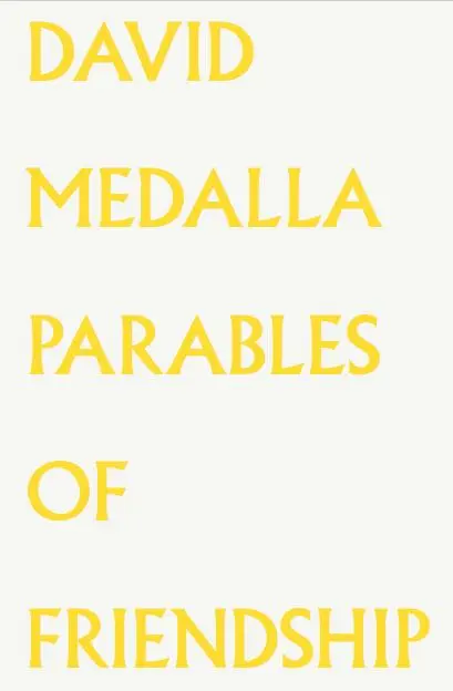 Cover: 9783753302164 | David Medalla. Parables of Friendship. | Steven Cairns (u. a.) | Buch