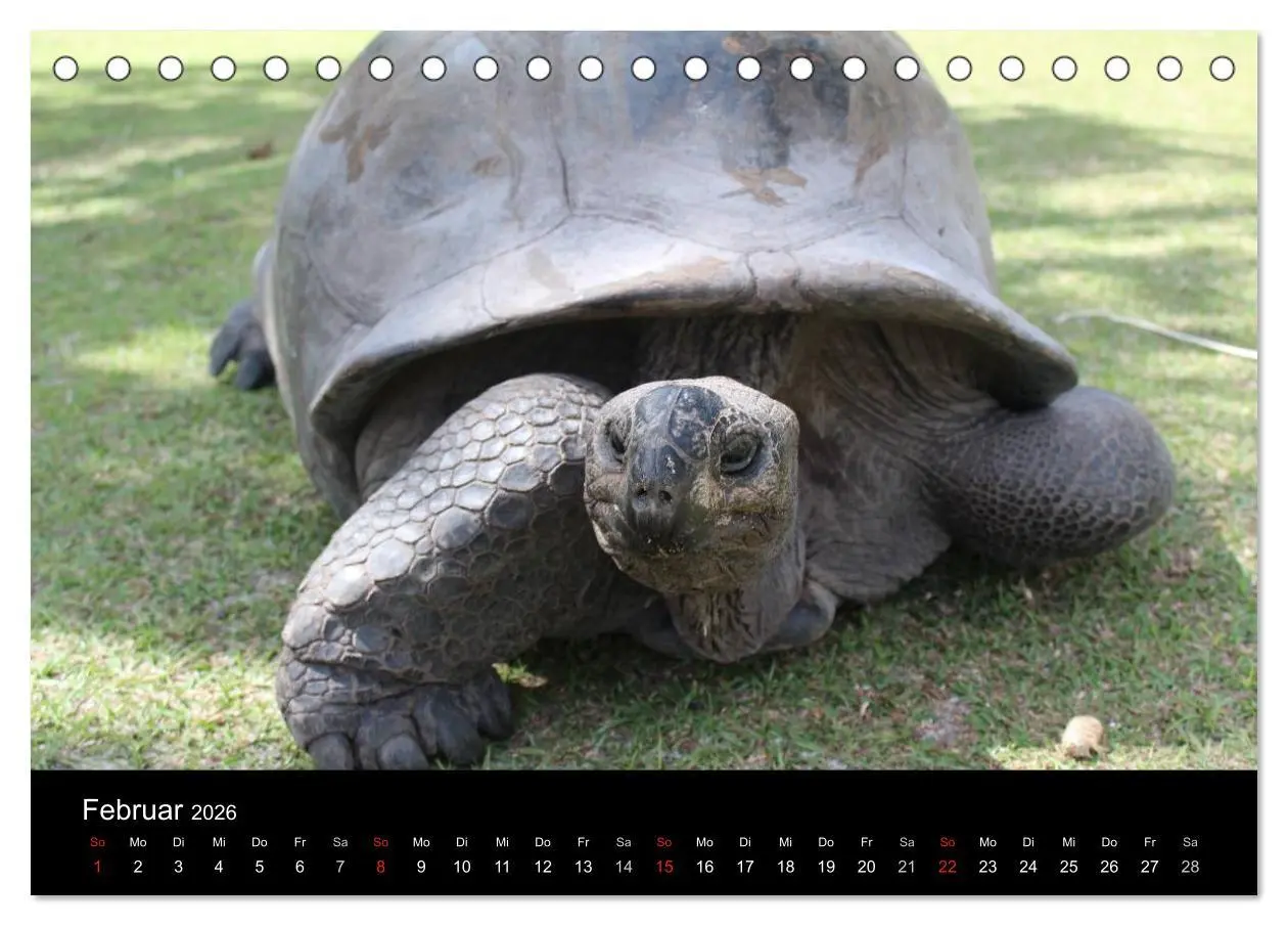 Bild: 9783516162264 | Seychellen (Tischkalender 2026 DIN A5 quer), CALVENDO Monatskalender