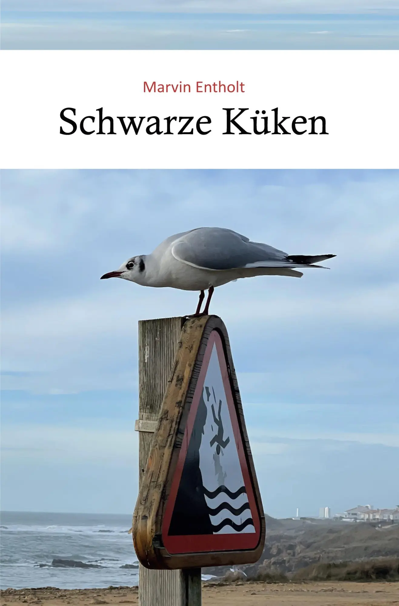 Cover: 9783757972264 | Schwarze Küken | Marvin Entholt | Taschenbuch | 196 S. | Deutsch