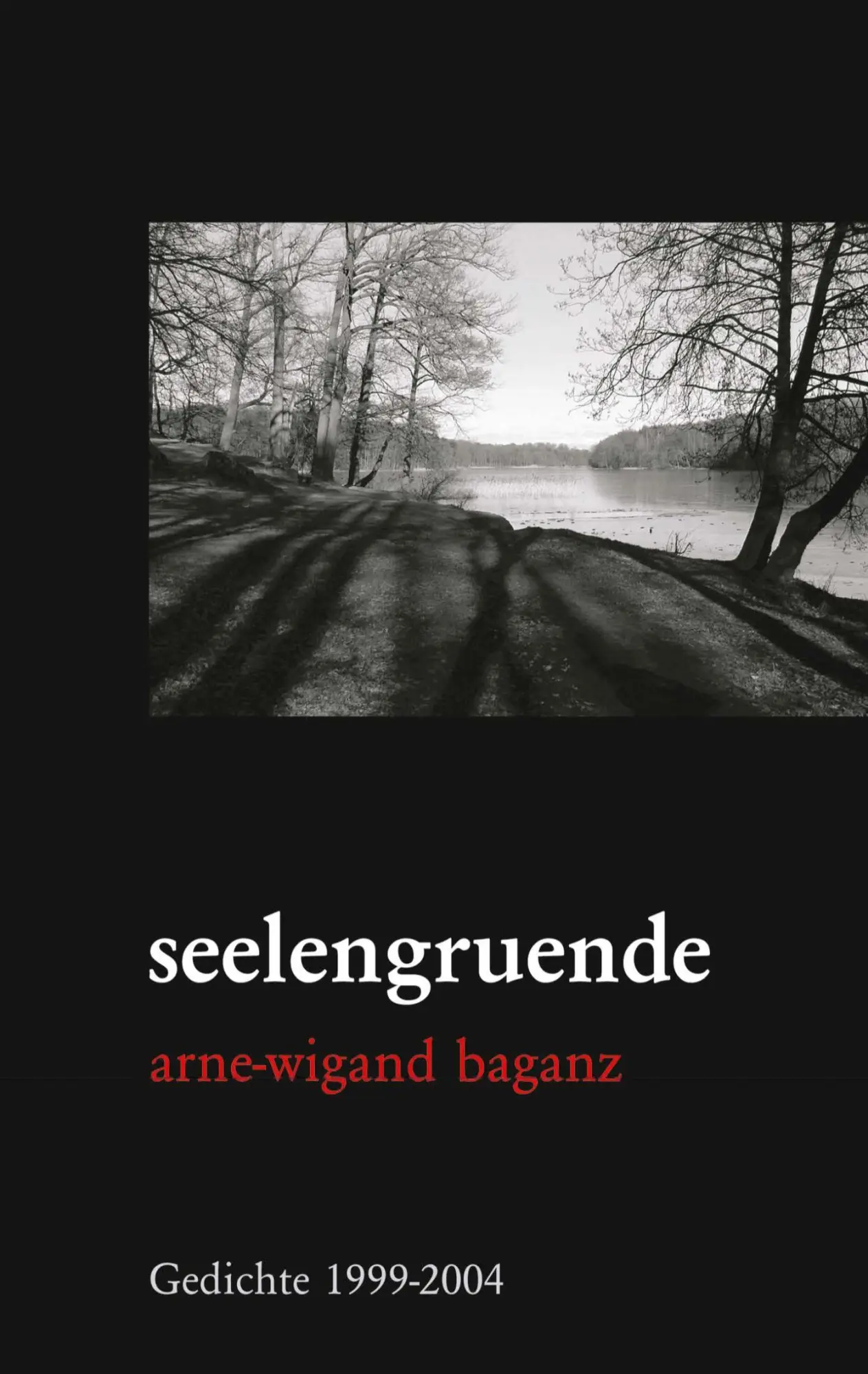 Cover: 9783833412264 | seelengruende | Gedichte (1999-2004) | Arne-Wigand Baganz | Buch