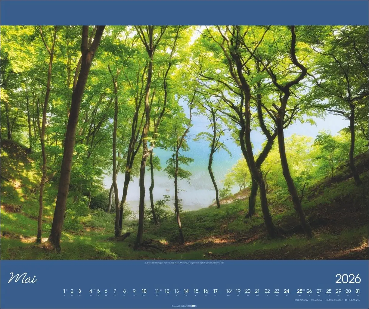 Bild: 9783839902264 | Ostsee Kalender 2026 | Uwe Steffens | Kalender | Spiralbindung | 14 S.