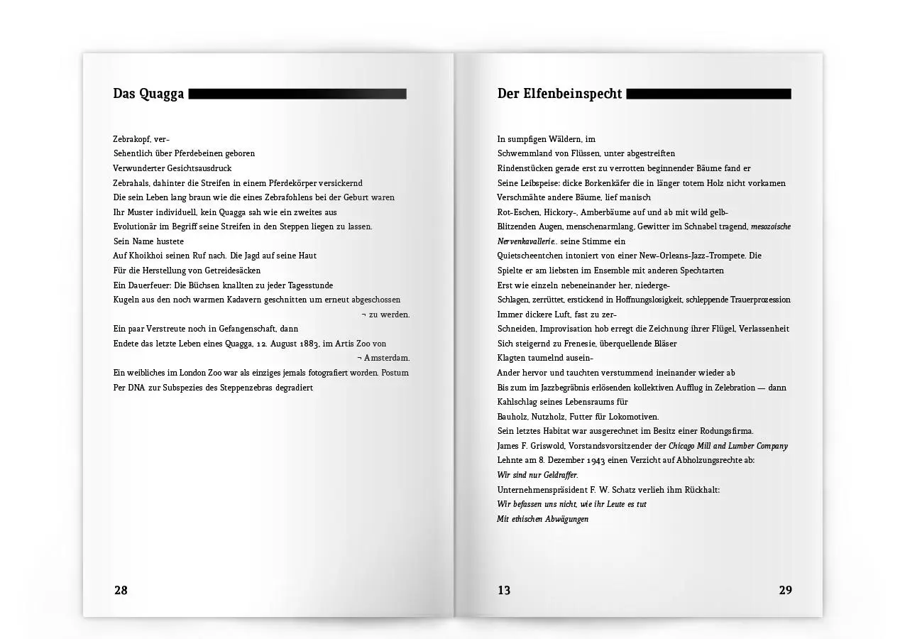 Bild: 9783945832264 | Dodos auf der Flucht | Requiem für ein verlorenes Bestiarium | Vogel