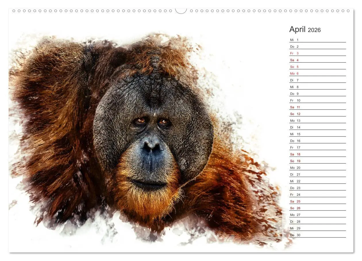 Bild: 9783457752364 | Tierportraits - Fine Art (hochwertiger Premium Wandkalender 2026...