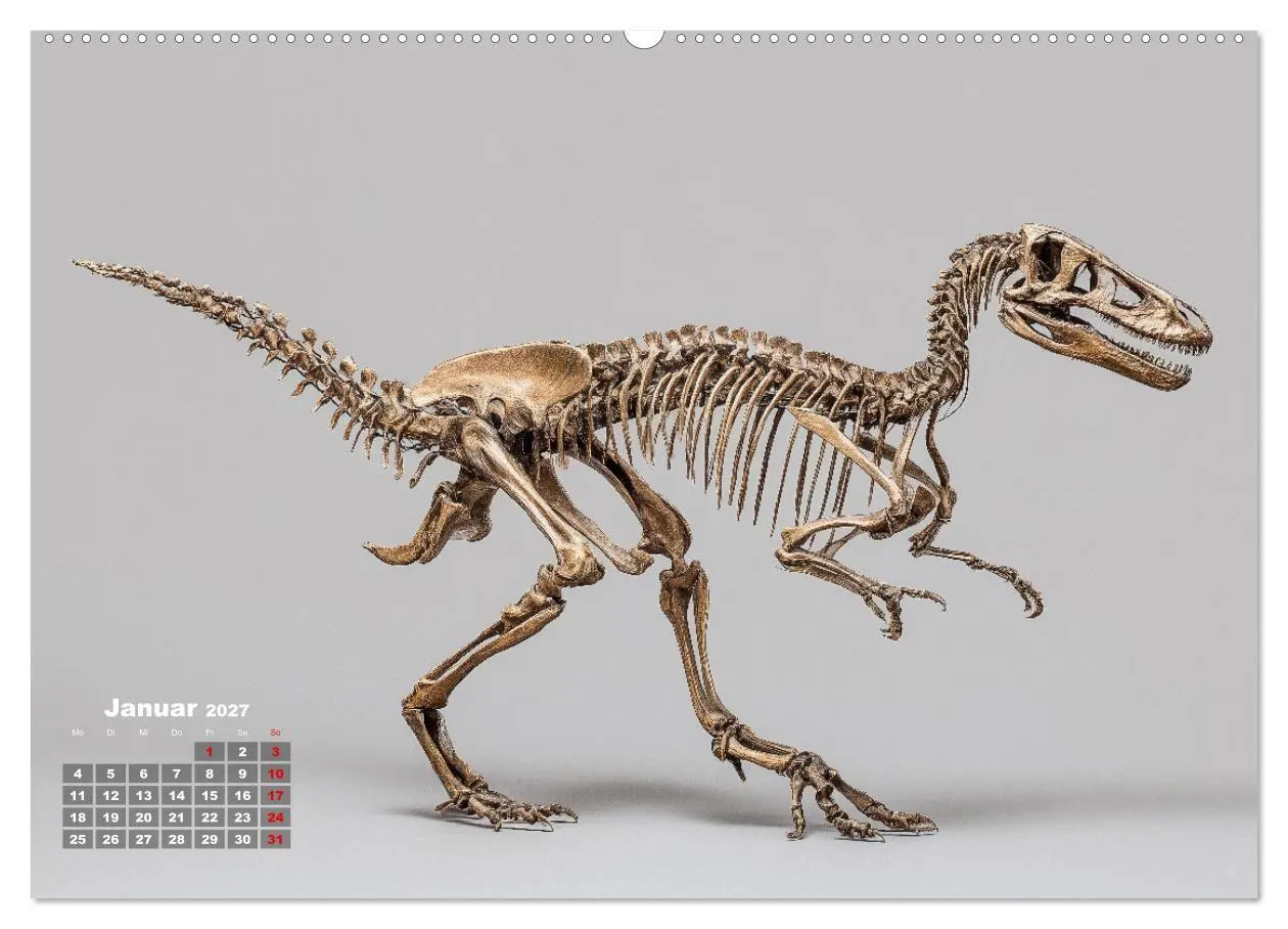 Bild: 9783516912364 | Knochen der Giganten - Dinosaurier im Porträt (Wandkalender 2027...