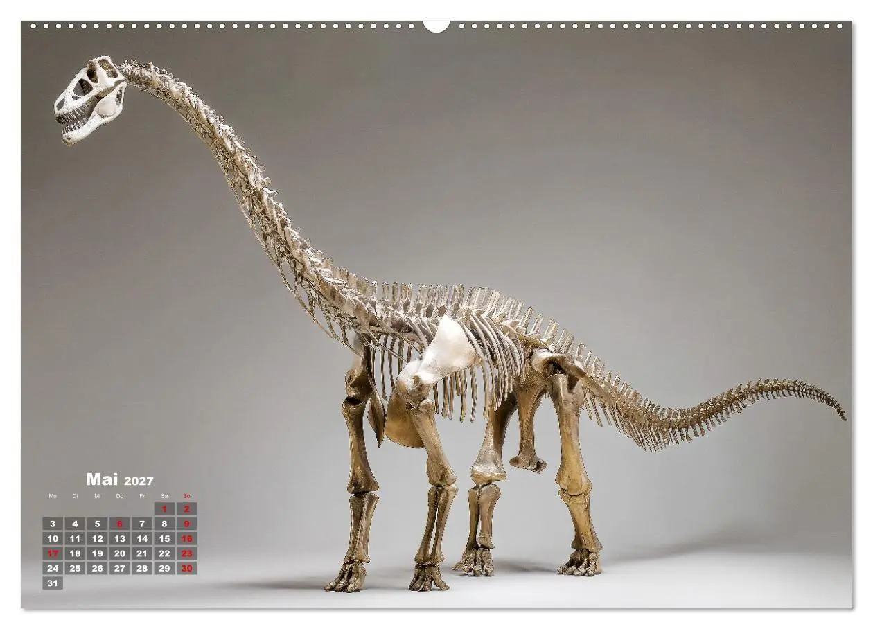 Bild: 9783516912364 | Knochen der Giganten - Dinosaurier im Porträt (Wandkalender 2027...