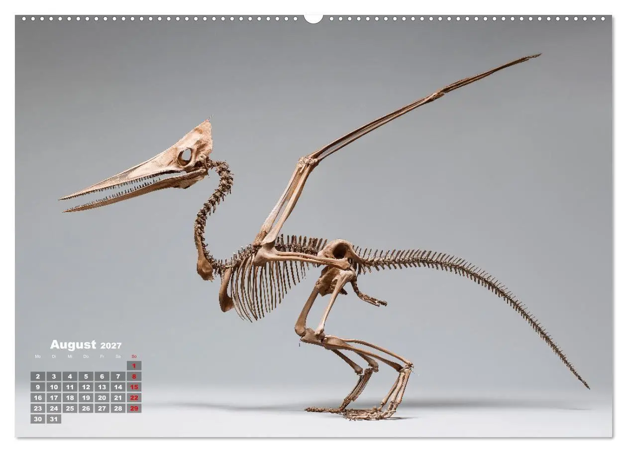 Bild: 9783516912364 | Knochen der Giganten - Dinosaurier im Porträt (Wandkalender 2027...
