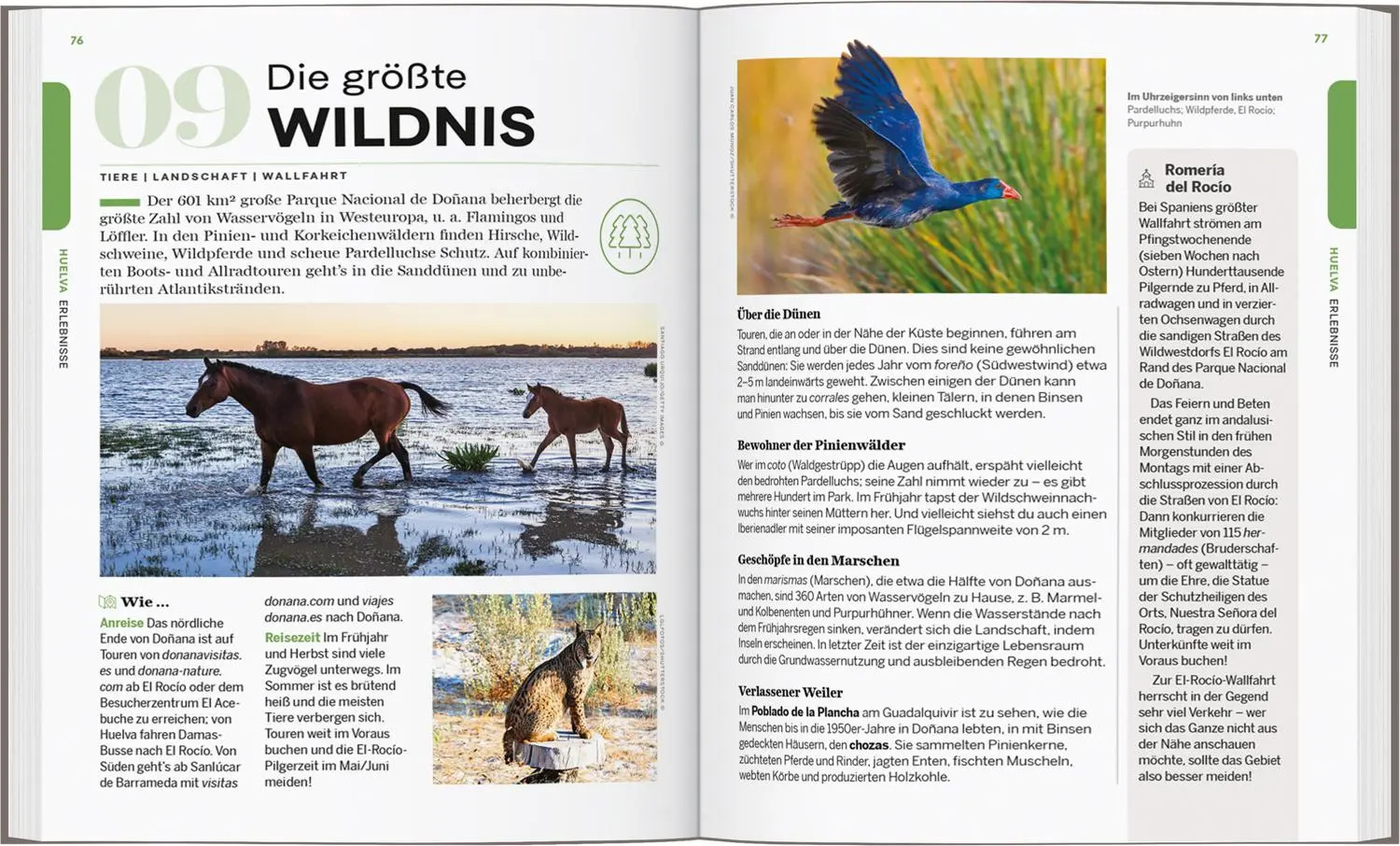 Bild: 9783575012364 | Lonely Planet Reiseführer Entdecke Andalusien | Raus ins Abenteuer