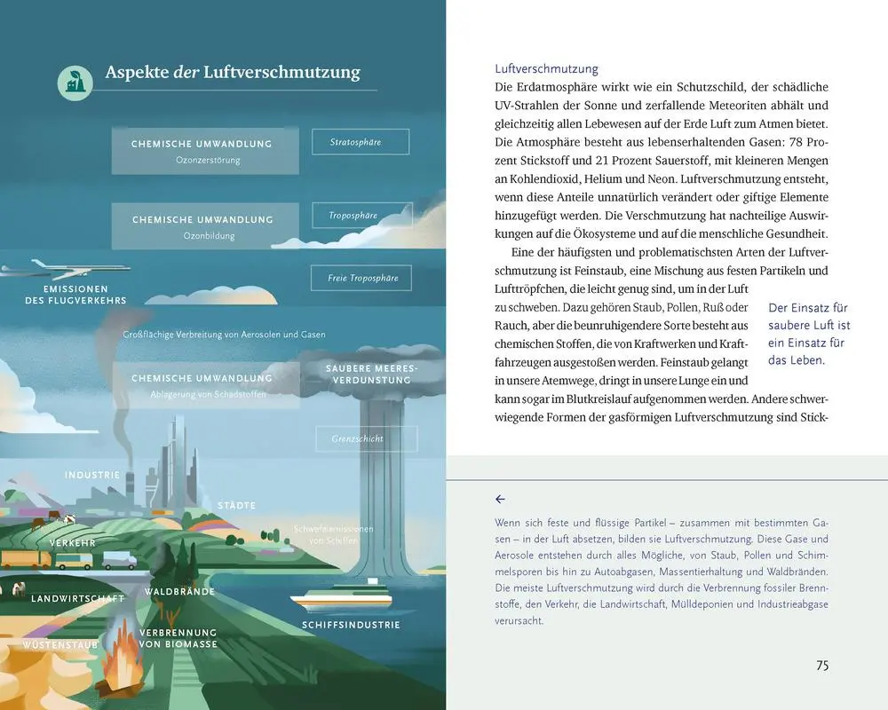 Bild: 9783775162364 | Seine wundervolle Welt | Betsy Painter | Buch | 240 S. | Deutsch