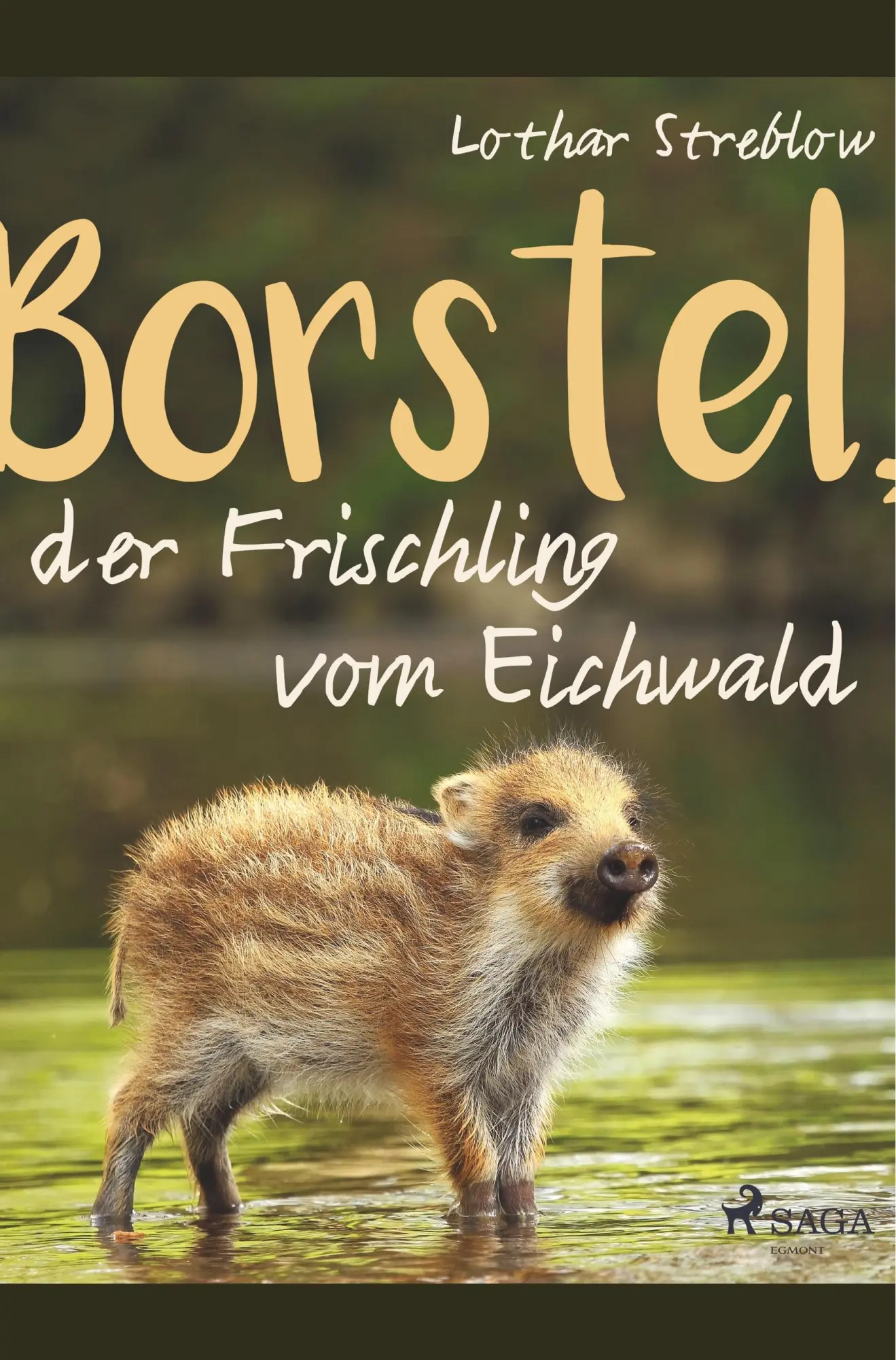Cover: 9788726152364 | Borstel, der Frischling vom Eichwald | Lothar Streblow | Taschenbuch