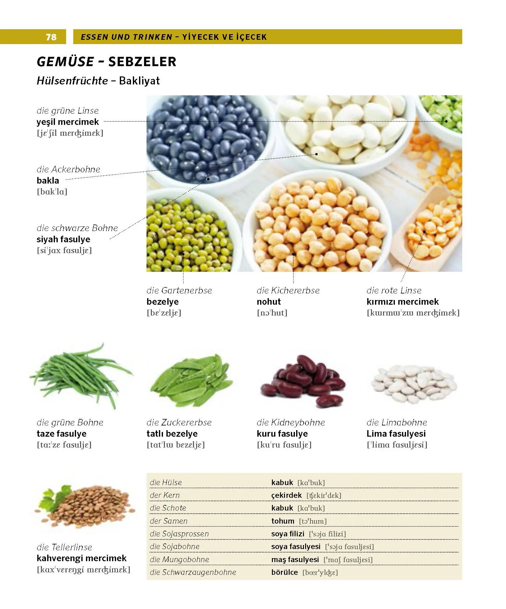 Bild: 9783125162464 | PONS Bildwörterbuch Türkisch | Taschenbuch | PONS Bildwörterbuch