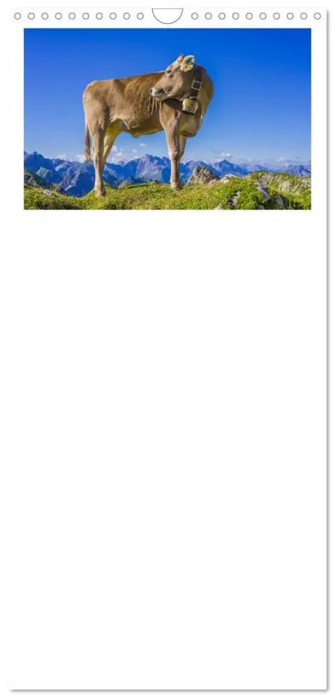 Bild: 9783457122464 | Familienplaner 2025 - Allgäuer Schönheiten Allgäu - Land der Kühe...