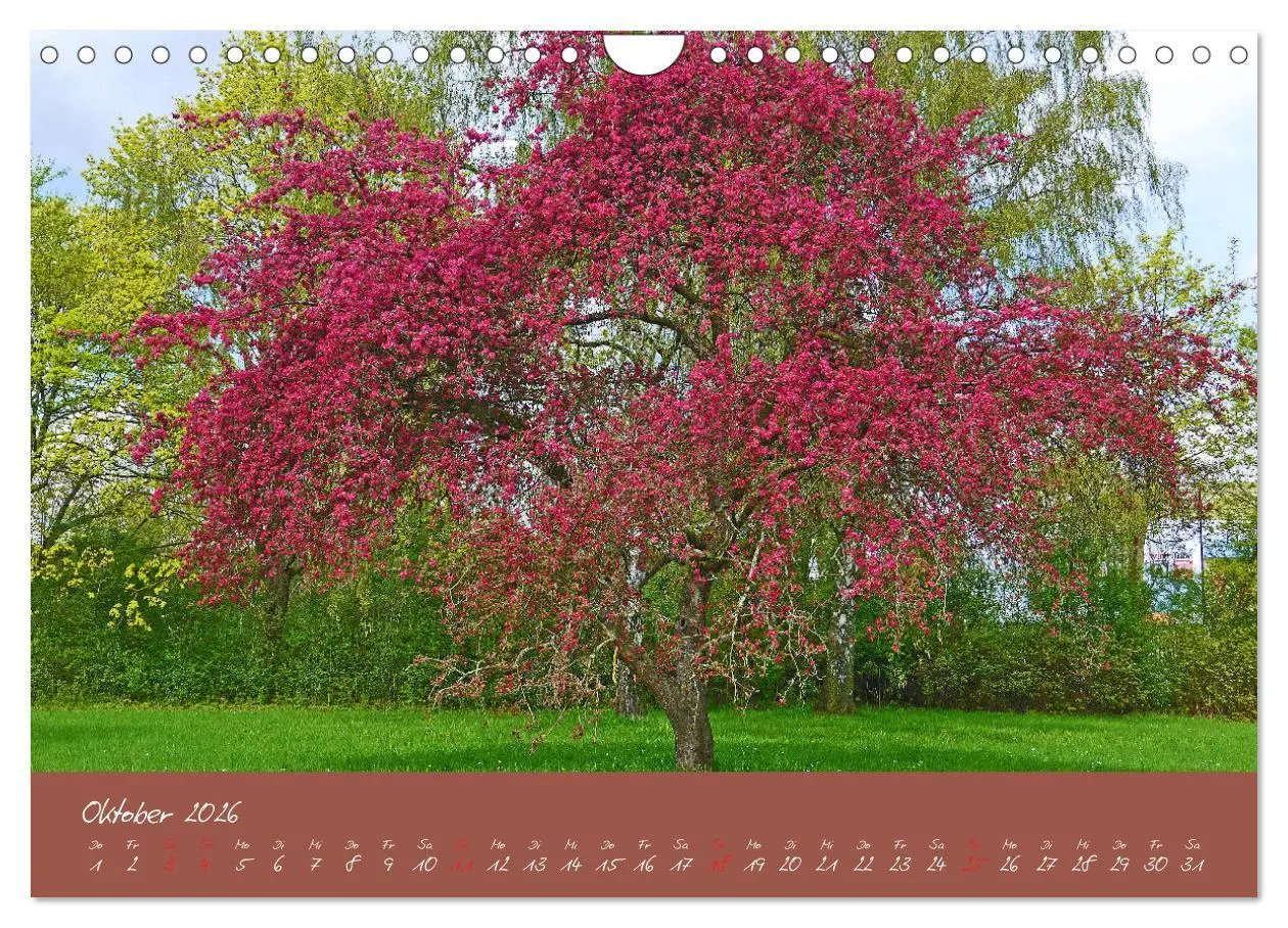 Bild: 9783457812464 | Düsseldorfer Nordpark (Wandkalender 2026 DIN A4 quer), CALVENDO...