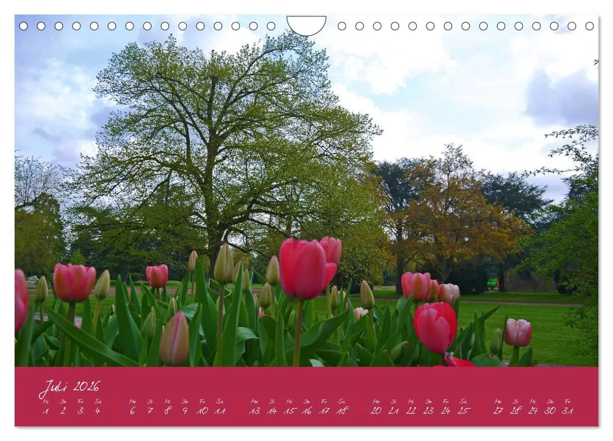 Bild: 9783457812464 | Düsseldorfer Nordpark (Wandkalender 2026 DIN A4 quer), CALVENDO...