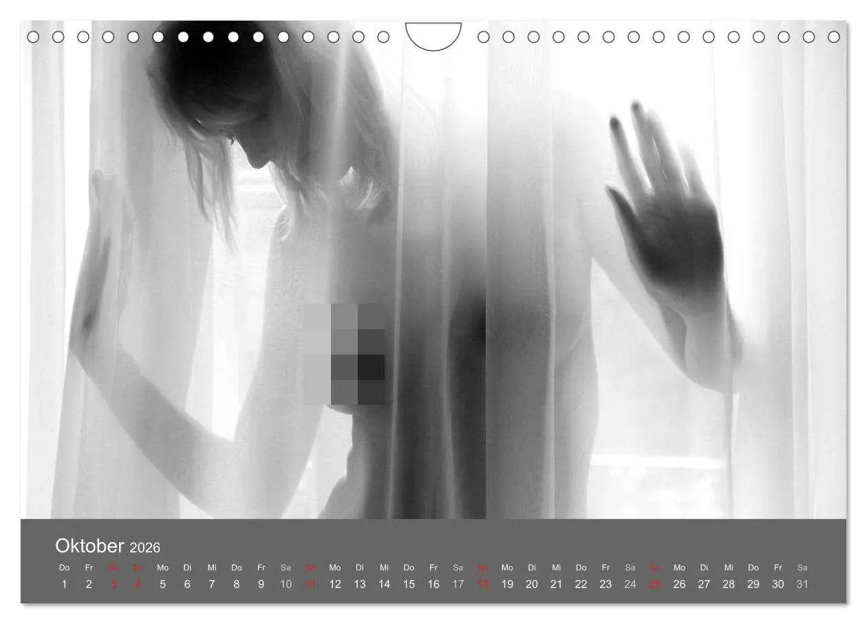 Bild: 9783457982464 | Akt und Visionen (Wandkalender 2026 DIN A4 quer), CALVENDO...