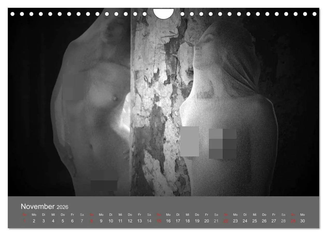 Bild: 9783457982464 | Akt und Visionen (Wandkalender 2026 DIN A4 quer), CALVENDO...
