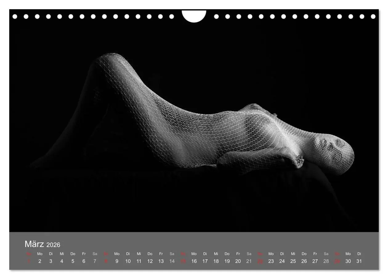 Bild: 9783457982464 | Akt und Visionen (Wandkalender 2026 DIN A4 quer), CALVENDO...