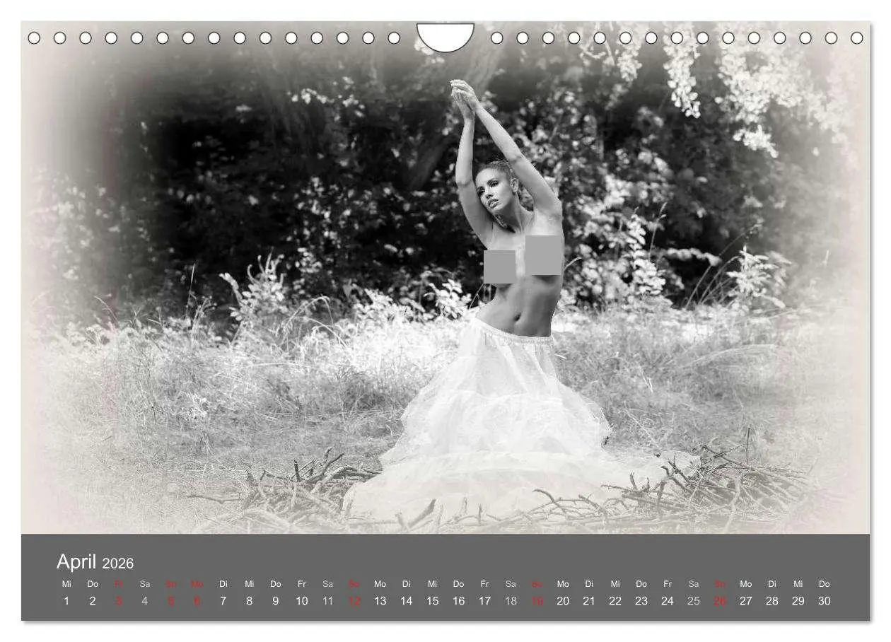 Bild: 9783457982464 | Akt und Visionen (Wandkalender 2026 DIN A4 quer), CALVENDO...