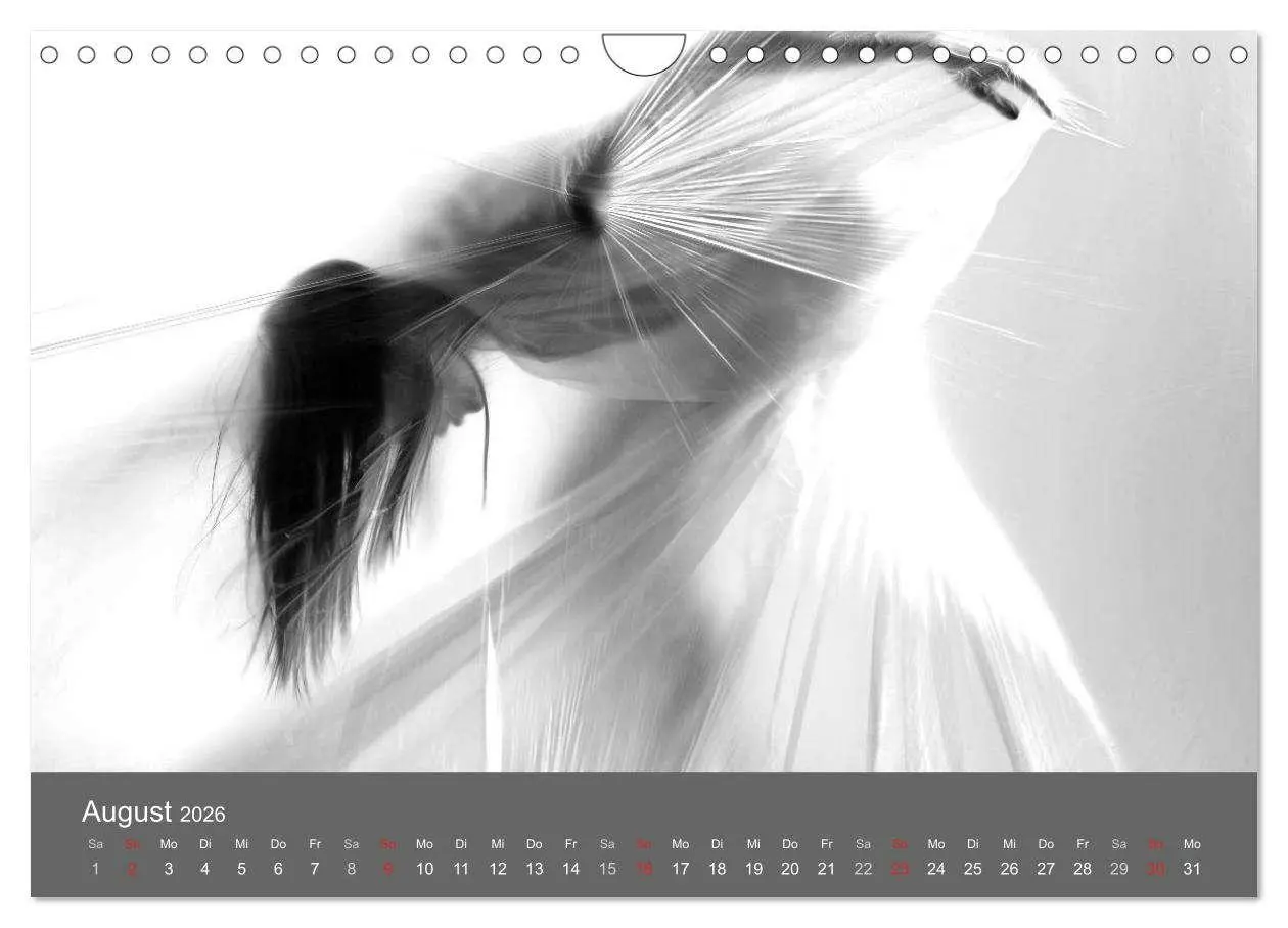 Bild: 9783457982464 | Akt und Visionen (Wandkalender 2026 DIN A4 quer), CALVENDO...
